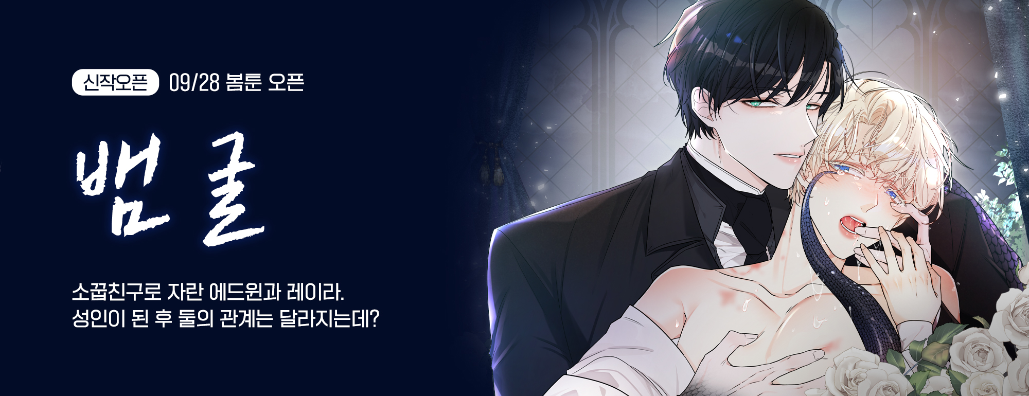 비쥬얼 이미지