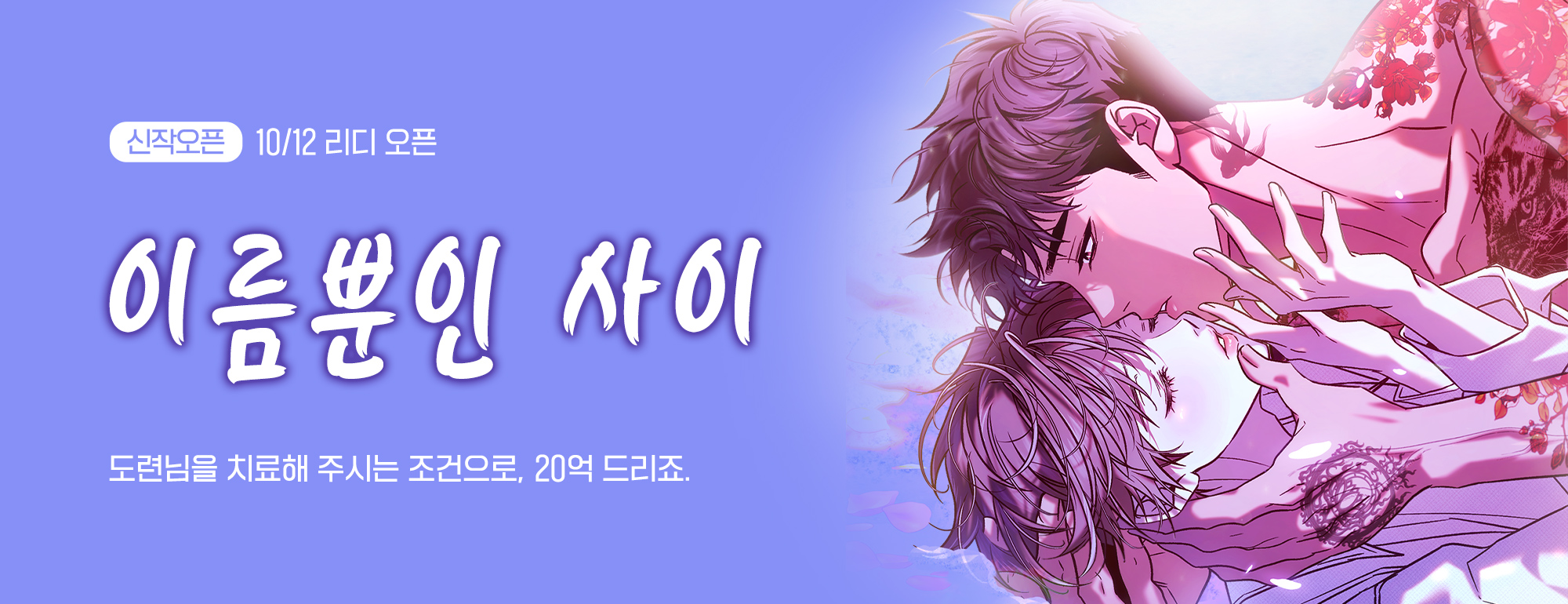 비쥬얼 이미지