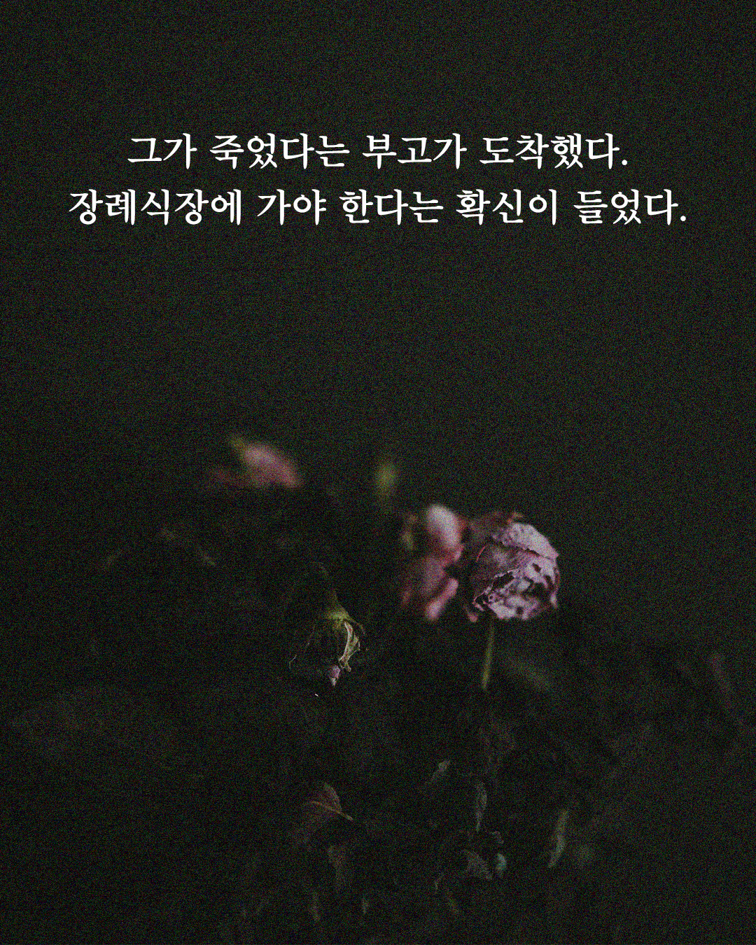 스틸컷